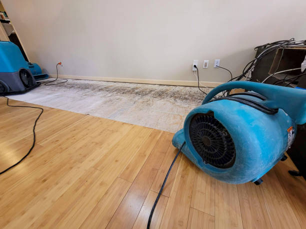Professional Structural Drying technician working in Emerald Isle, NC